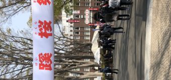第43回成蹊桜祭“中止”のご案内