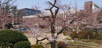 桜祭石楠花会総会･交歓会のご案内【確定】